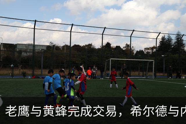 老鹰与黄蜂完成交易，希尔德与内姆布哈德加盟